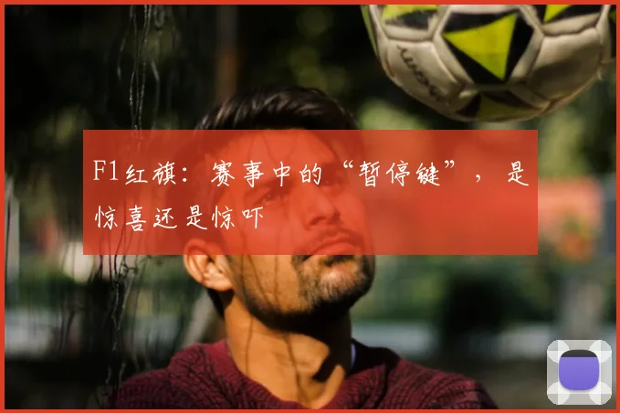 F1红旗:赛事中的“暂停键”,是惊喜还是惊吓