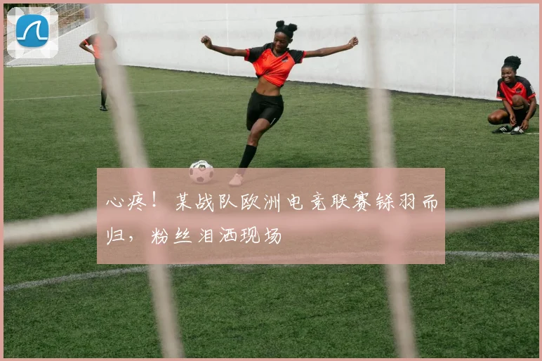 心疼！某战队欧洲电竞联赛铩羽而归，粉丝泪洒现场