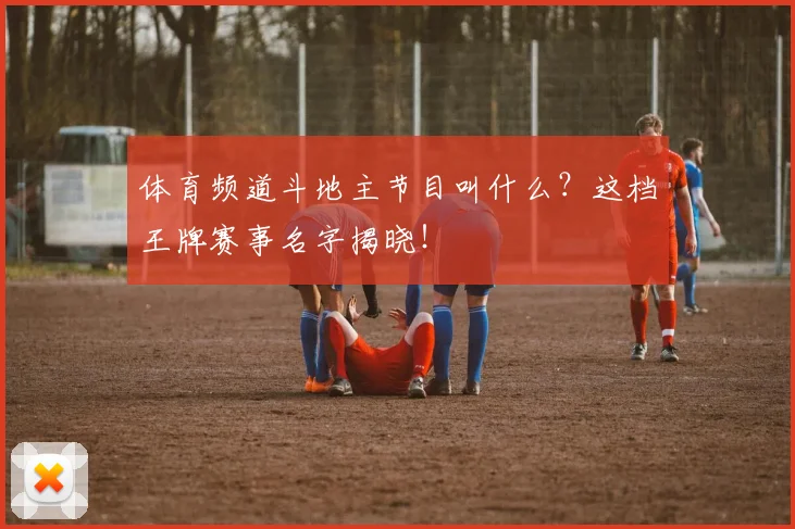 体育频道斗地主节目叫什么?这档王牌赛事名字揭晓!