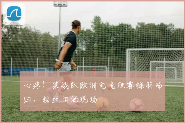 心疼！某战队欧洲电竞联赛铩羽而归，粉丝泪洒现场