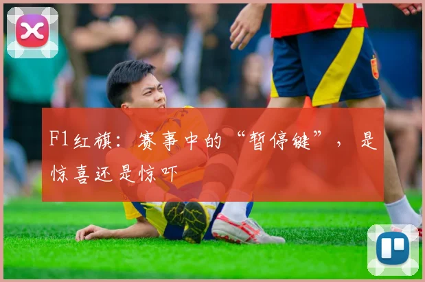 F1红旗:赛事中的“暂停键”,是惊喜还是惊吓