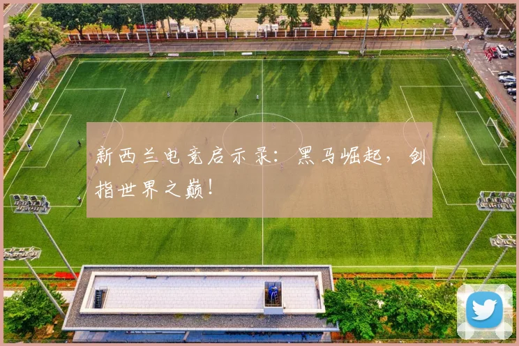 新西兰电竞启示录：黑马崛起，剑指世界之巅！